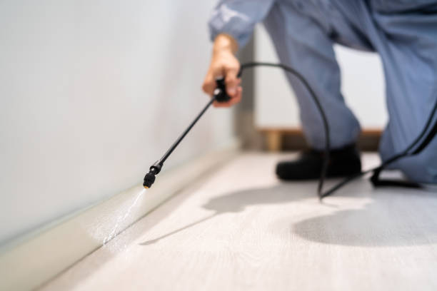 Professional exterminator conducting IPM assessment in Central City